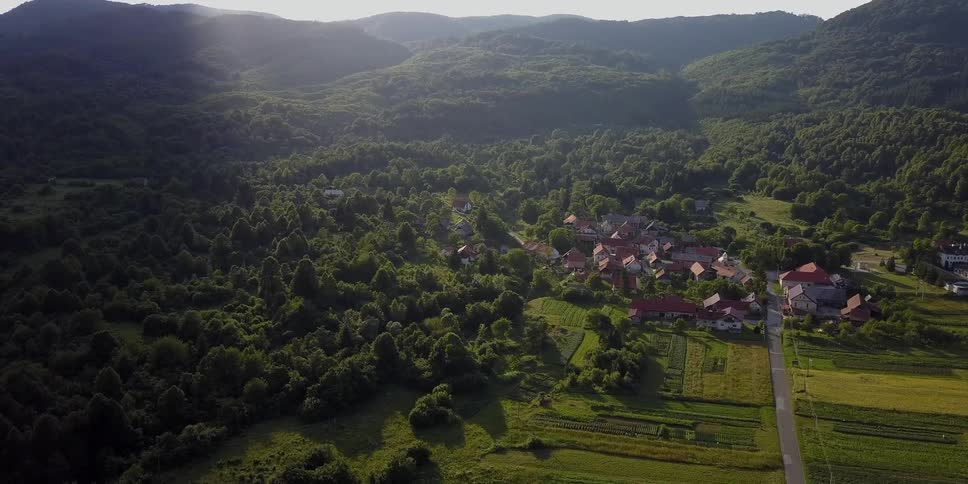 An overhead view of a town with trees and houses