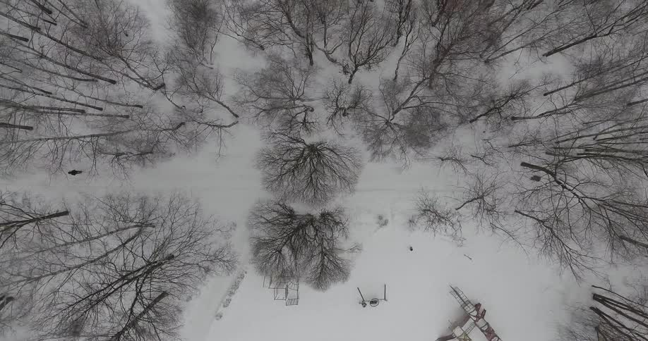 People walk and play in a snow-covered park in winter