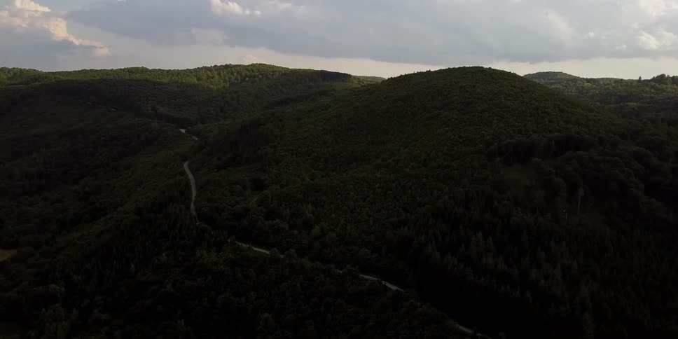 A road runs through rolling hills covered in trees