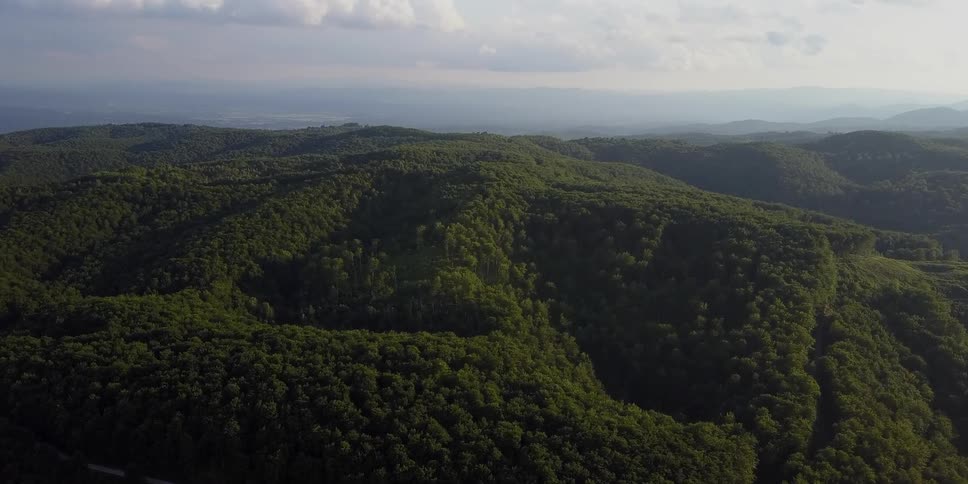 The large hills are covered with green