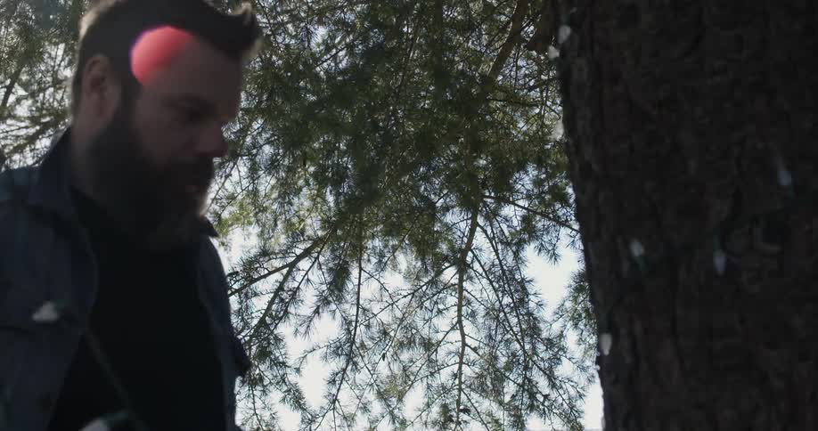 A man is stringing lights around a tree in his yard