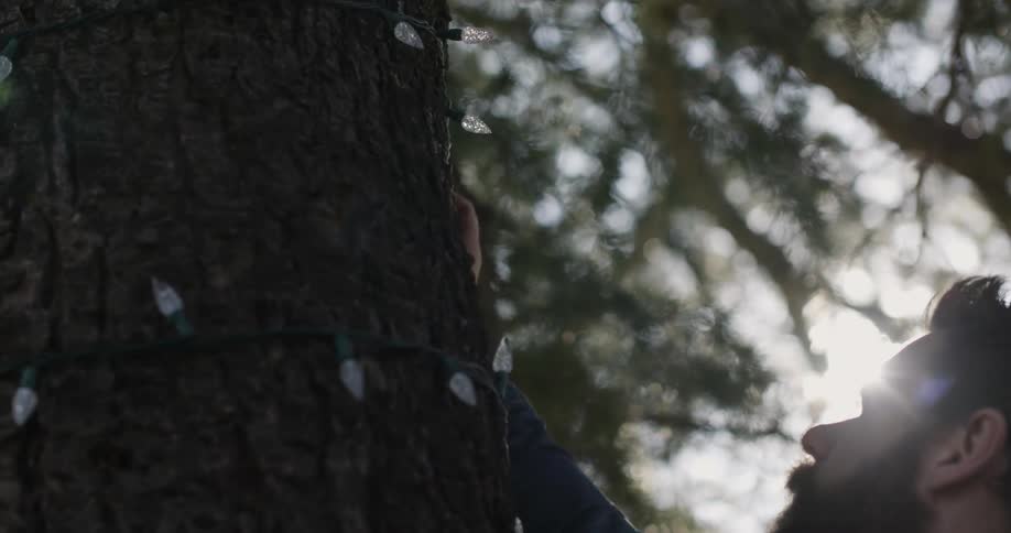 A man is stringing lights around a tree in his yard