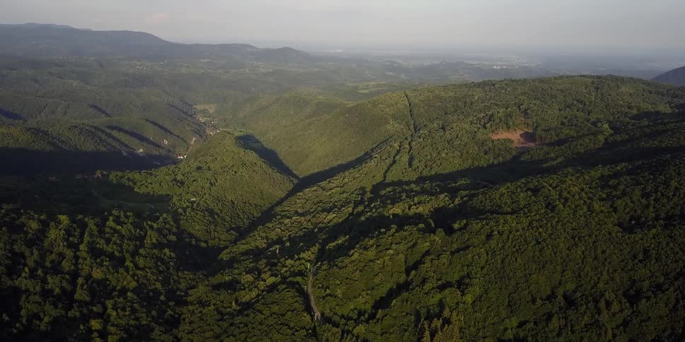 Rolling hills covered in trees