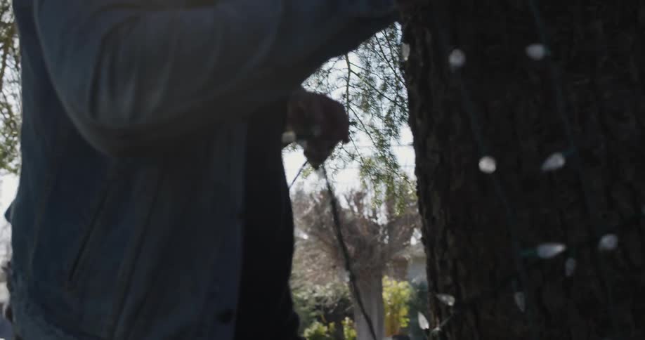 A man is stringing lights around a tree in his yard