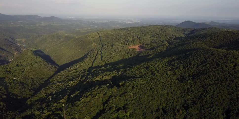 Trees cover a hilly area