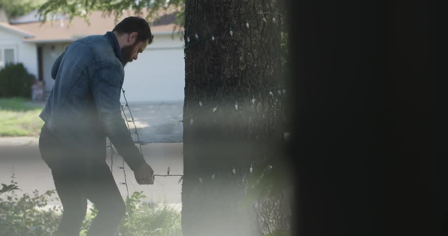 A man is stringing lights around a tall pine tree in his yard