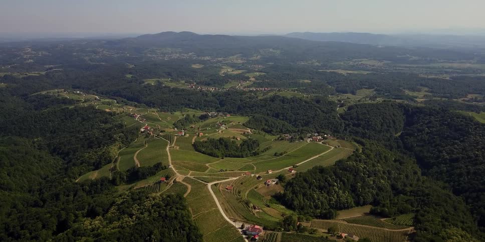 Trees surround a small farming community