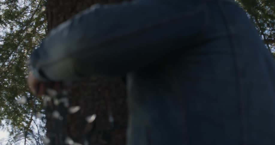 A man is walking to a tree with lights