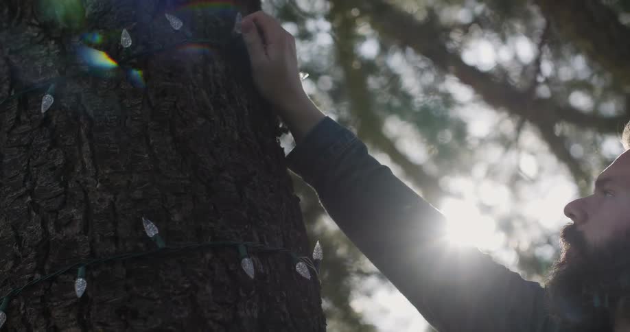 Man adjusting a light rope around a tree