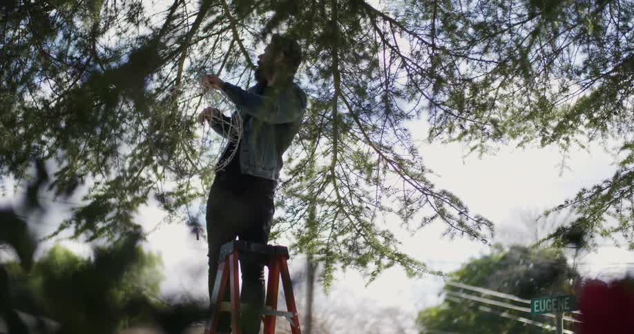 A man hangs a ball of lights to a tree