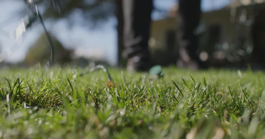 Someone throws a string of lights on the grass