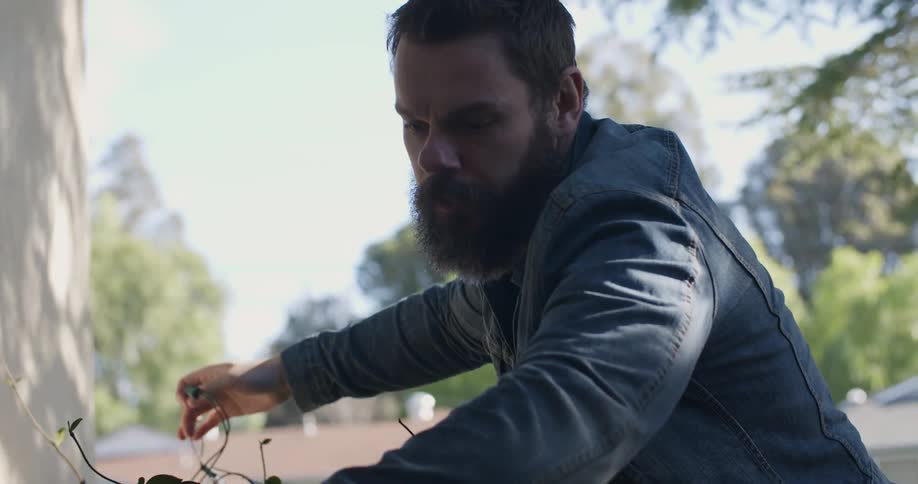 A man put christmas lights on a shrub in a front yard