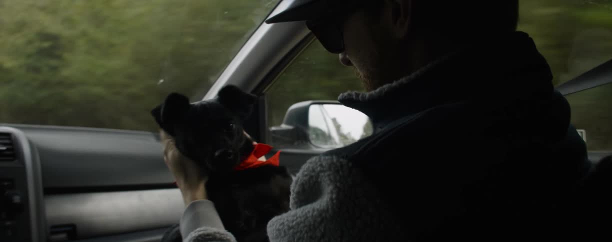Man petting and talking to his dog as they sit in a moving car