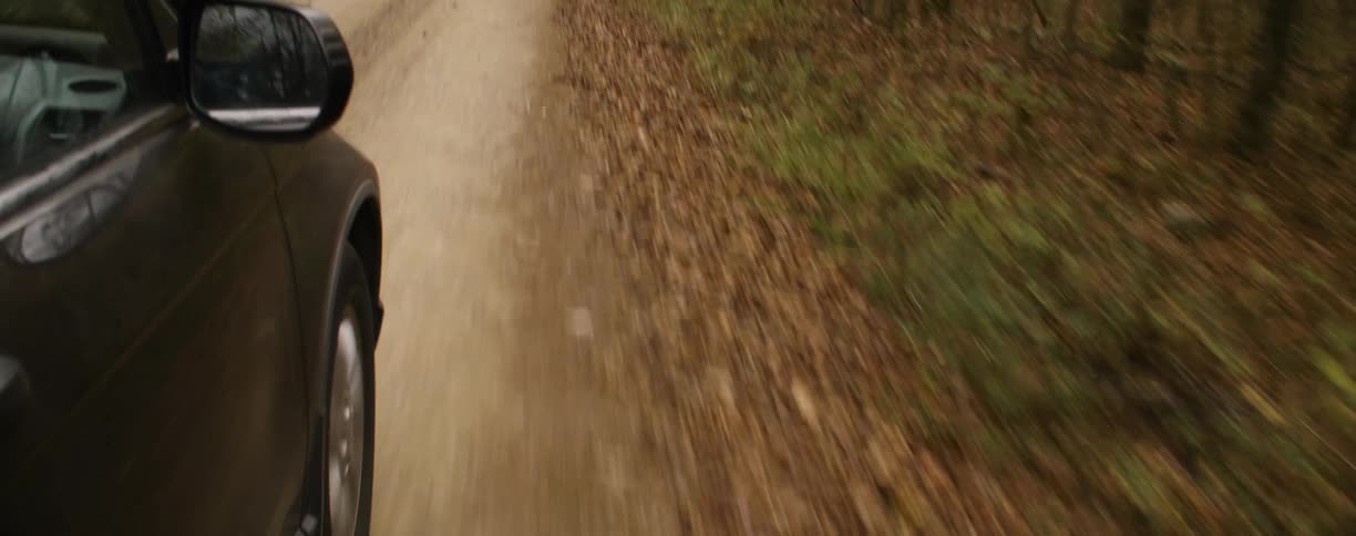 Car drives down a tree lined dirt road
