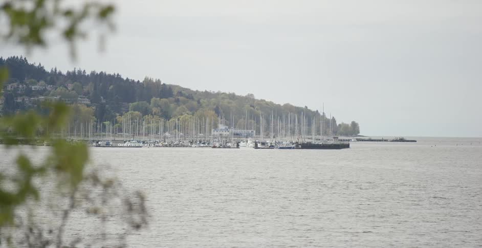 Boats floating in a marina