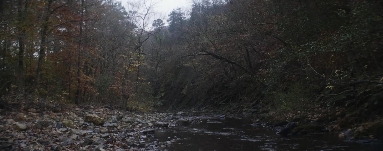 Stream flowing through a forest