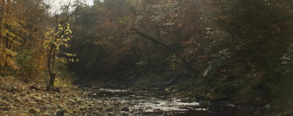 Water flows down a stream