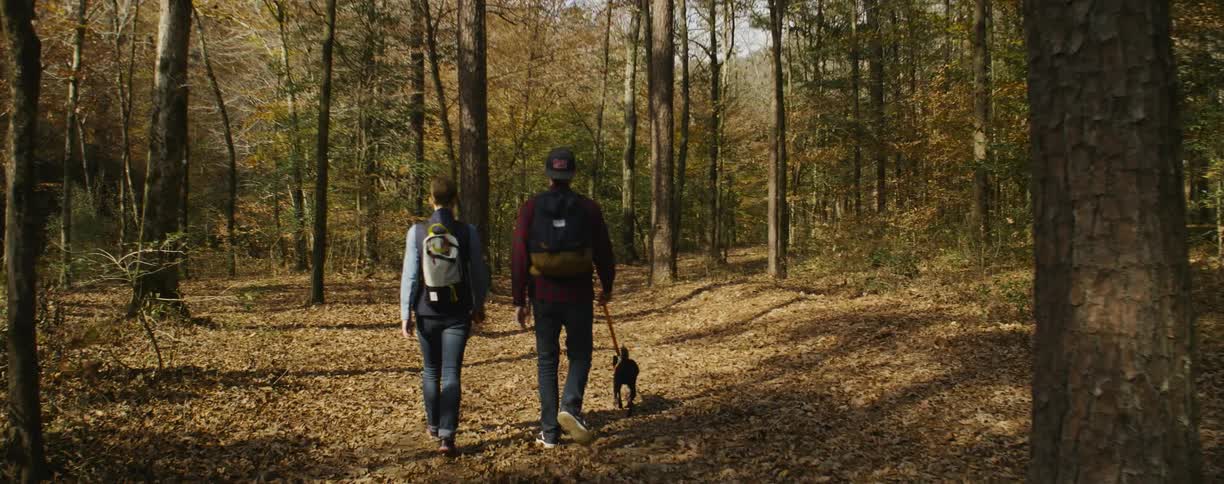 A couple of people walking through the woods with a dog