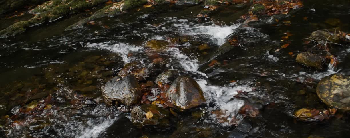 Water flows over rocks at riverbed