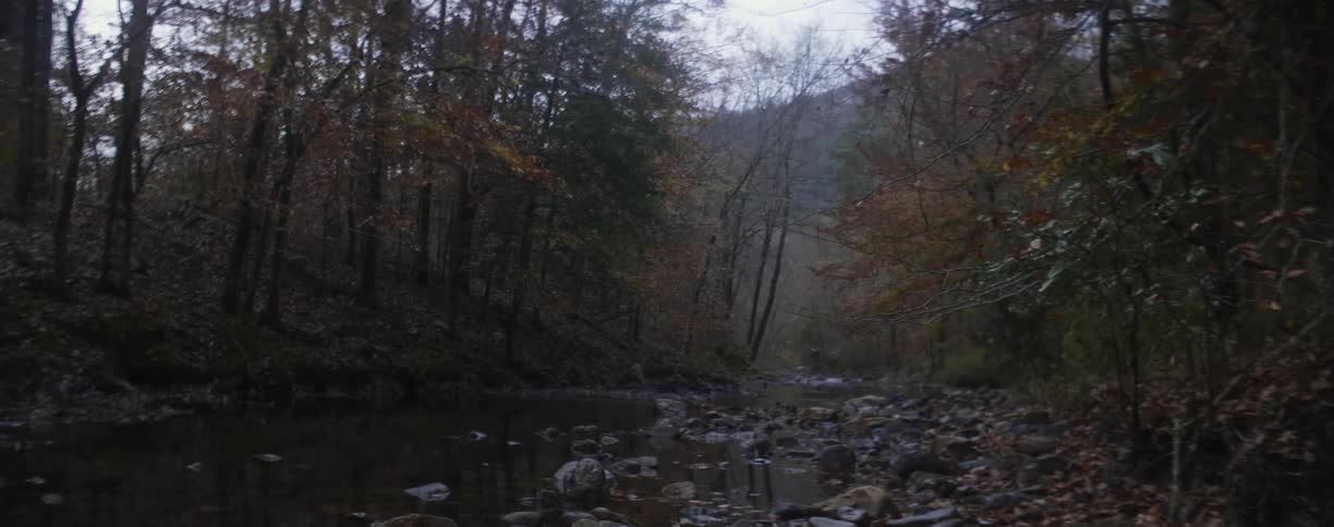 A view of a river that runs through the woods