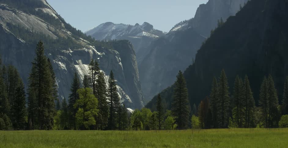 A field in front of trees in front of mountains