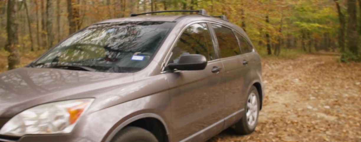 A vehicle drives out into the woods