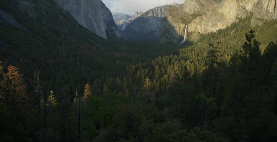 The valley below the mountains is full of trees