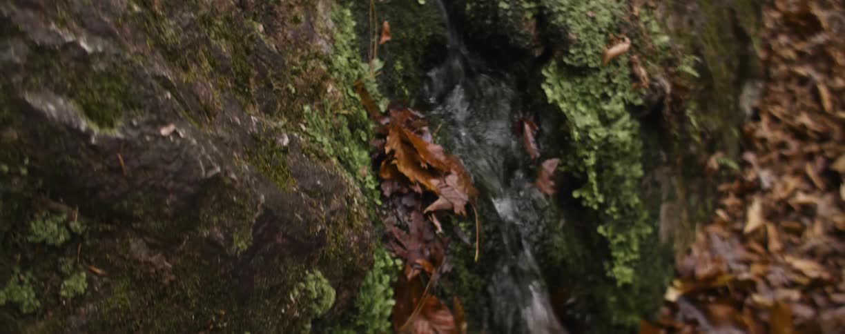Small trickling waterfall on a fall day