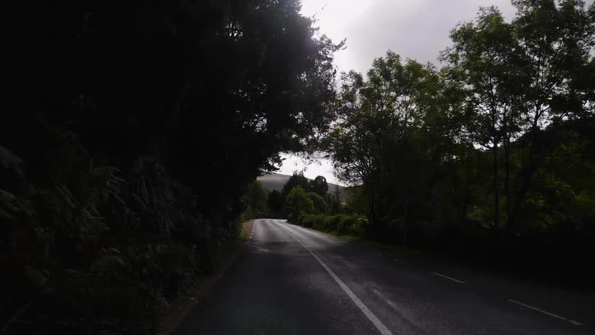 The road is empty and surrounded by trees