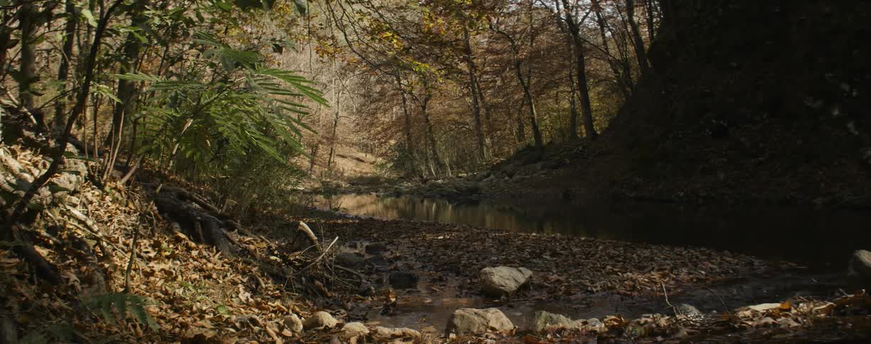 Water flows along a rocky stream