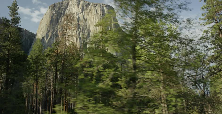 Trees stand in front of a rocky mountain in the distance
