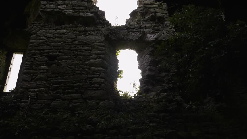 A brick wall has a single window
