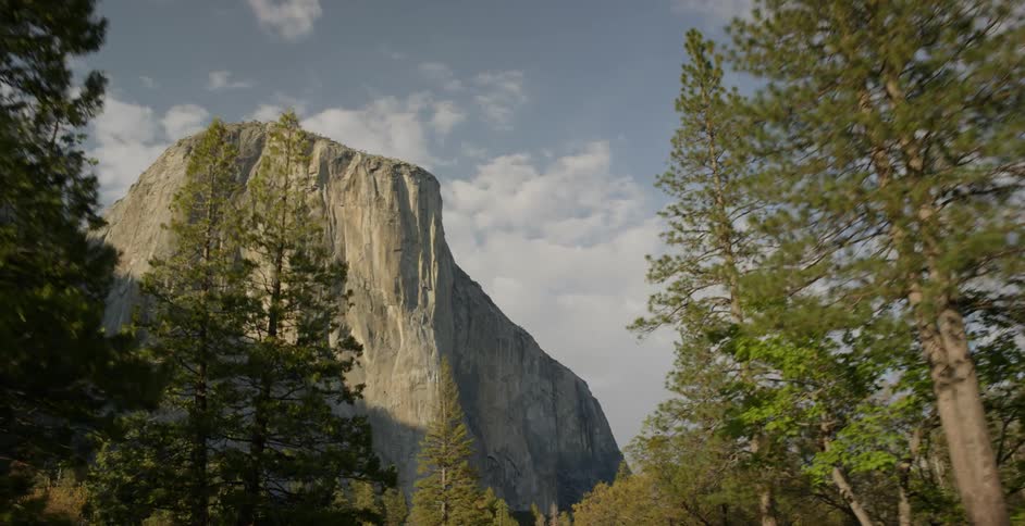 Past these trees is a very tall mountain
