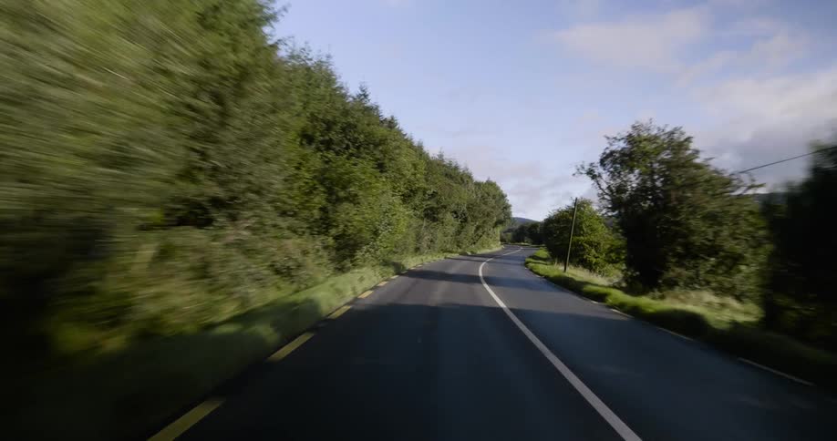 Traveling view of a road lined with trees