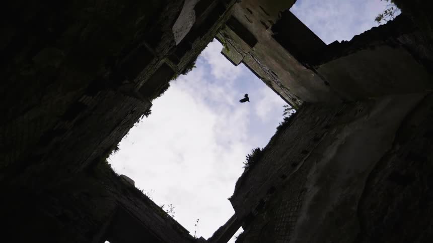 A bird flies over ruins