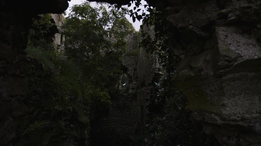 The caverns have trees and stone all over
