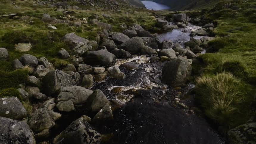 A close view of a river flowing with large rocks on the side