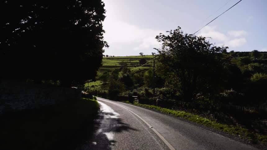 Sun shining on a tree lined country road