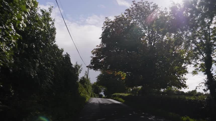 Small path lined with trees