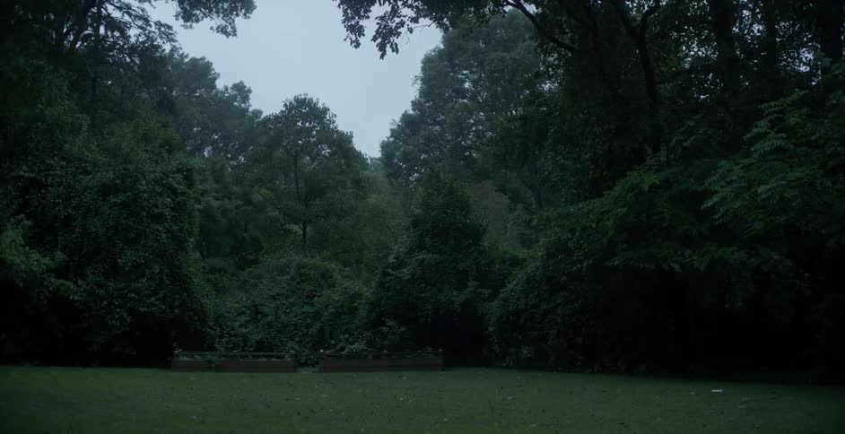 The yard is empty and lined with trees