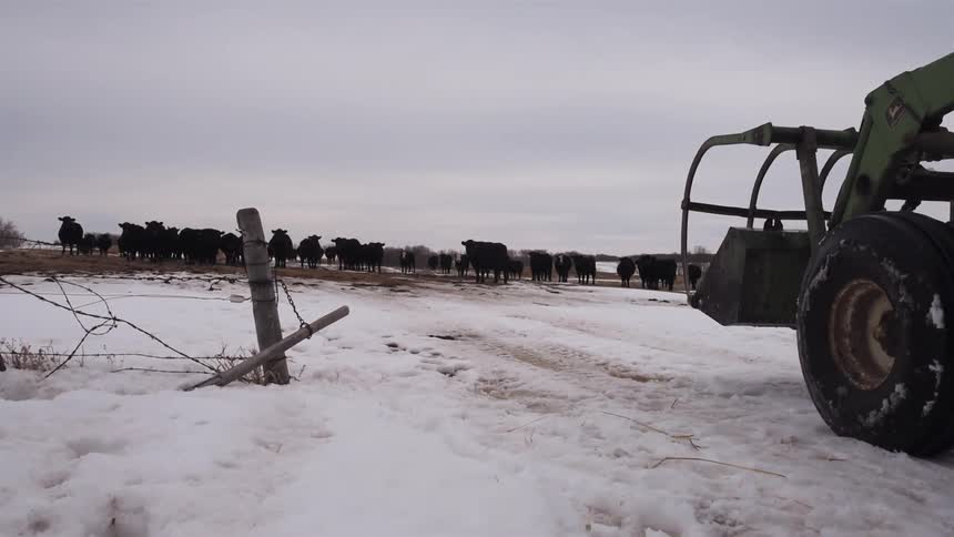 A tractor drives over the snow