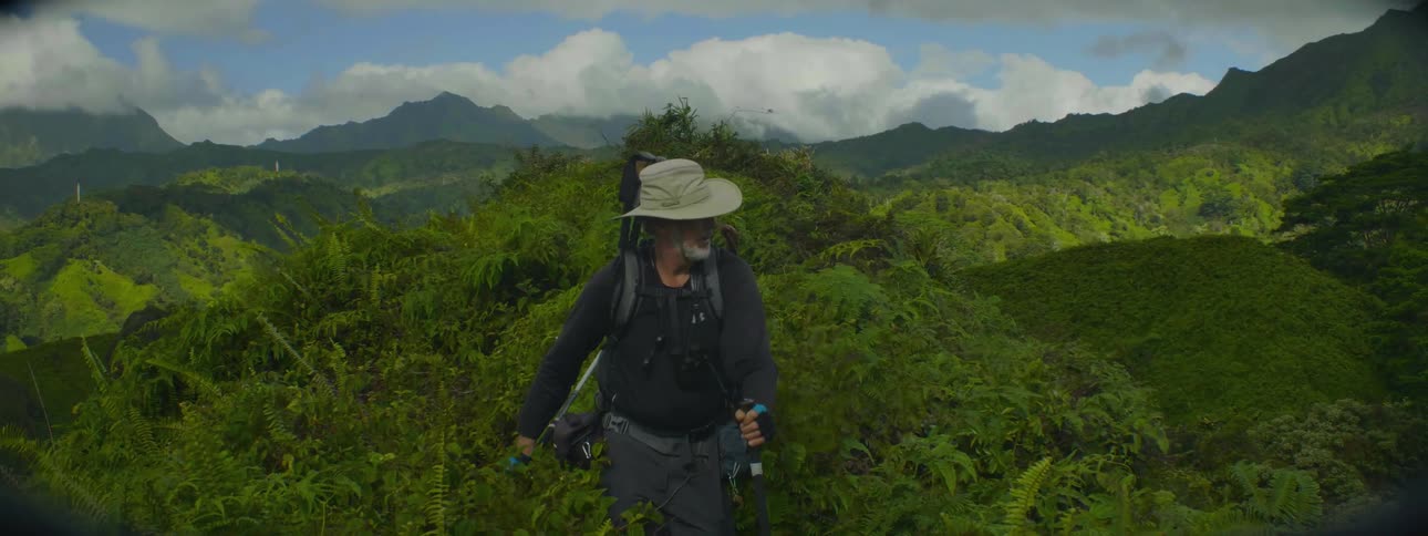 A man hikes through lush vegetation