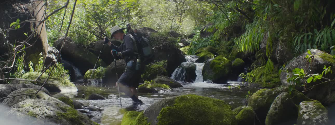 A man walks across a river in a lush forest
