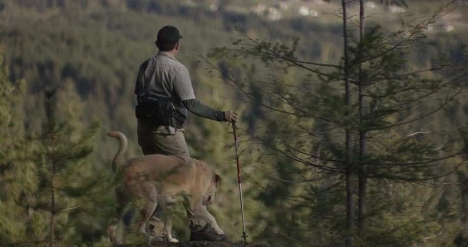 Hiker with a dog in the woods