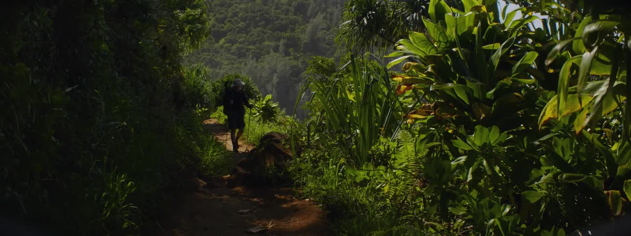 Man hikes up a lush green hill