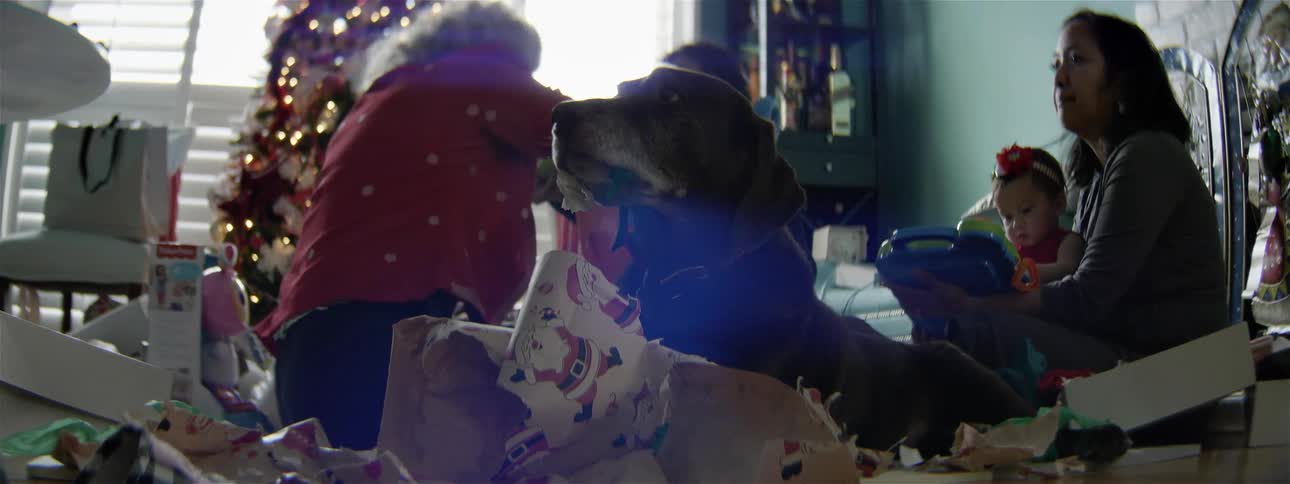 Women and children unwrap presents as dog chews on wrapping paper