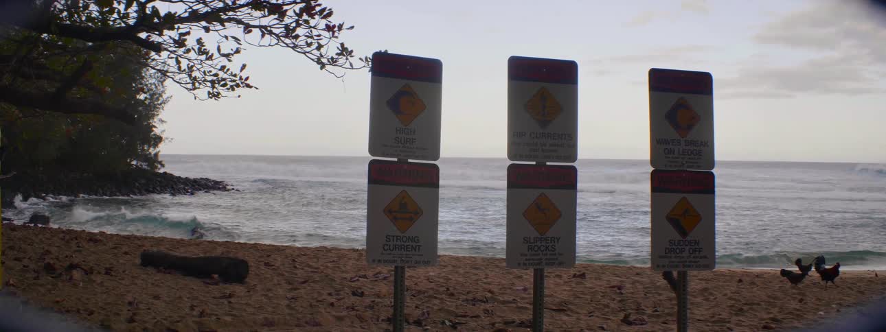 The beach is lined with signs