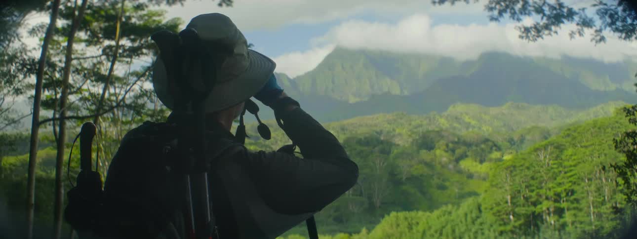 A man standing near trees takes a picture of a mountain