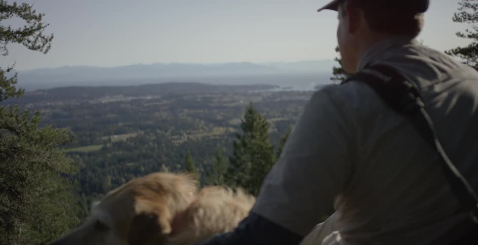 Man petting a dog in the forest
