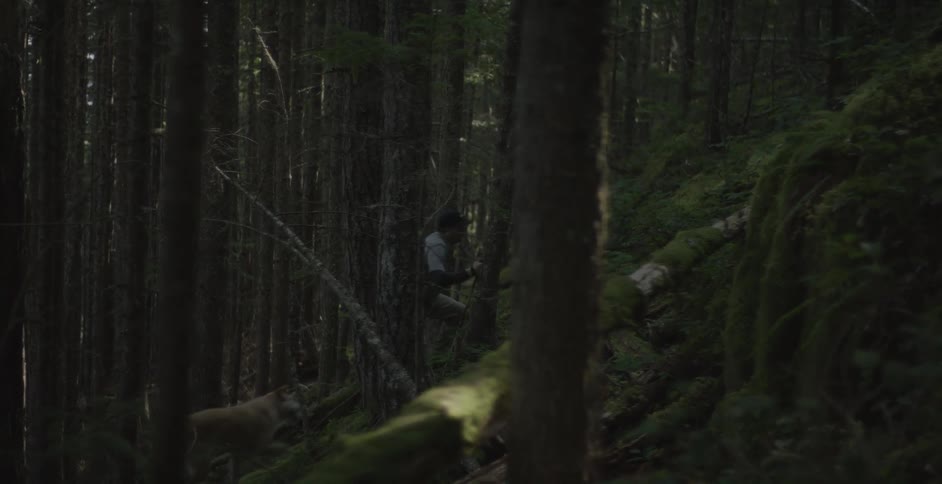 Man and dog hiking up a sloping hill in the forest